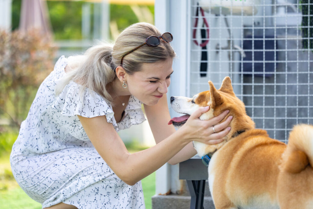 Caucasian woman hugging her cute energetic shiba inu dog in the outdoor park during summer for animal lover and pet sitter training program concept