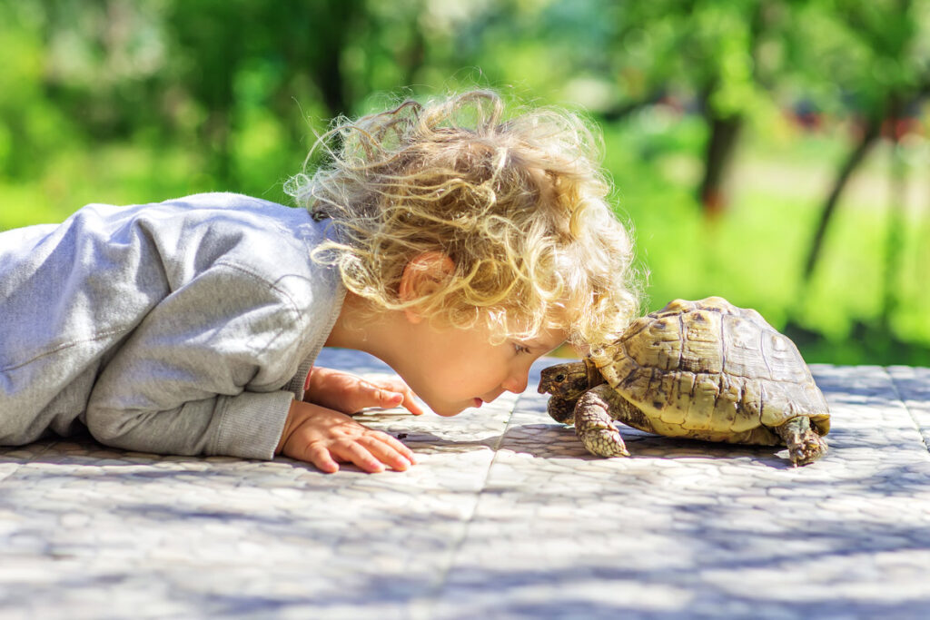 lovely boy with turtle