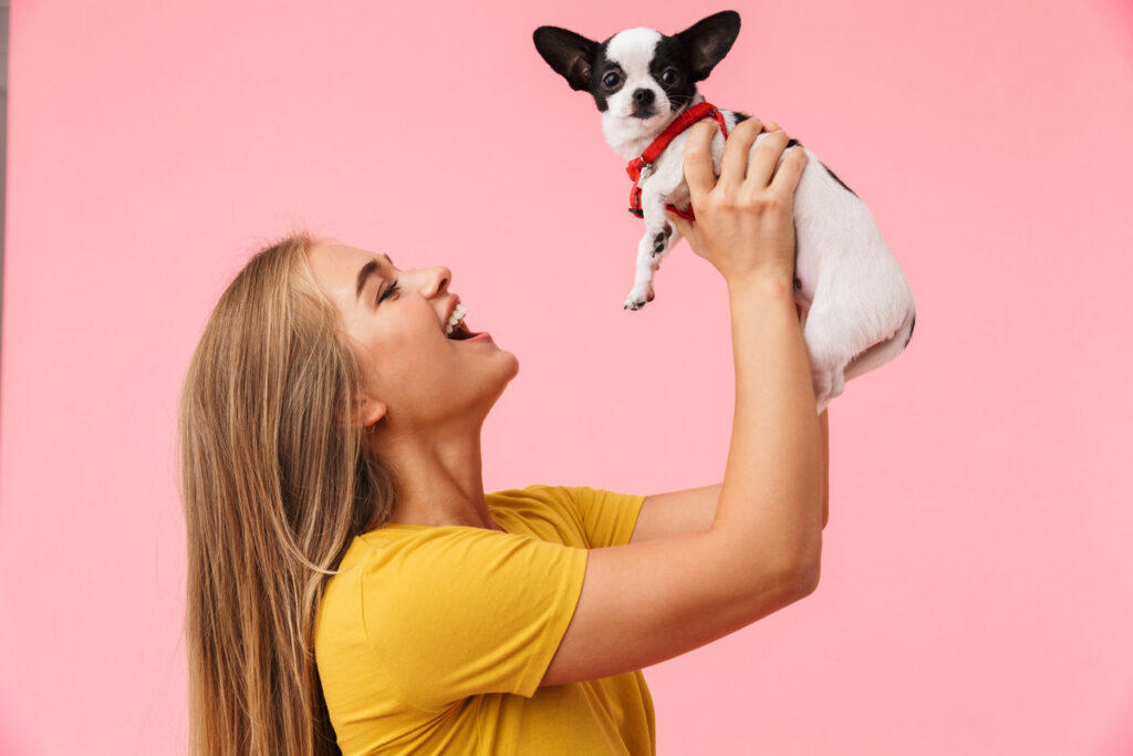 Cute lovely cheerful girl playing with her pet chihuahua isolated over pink background