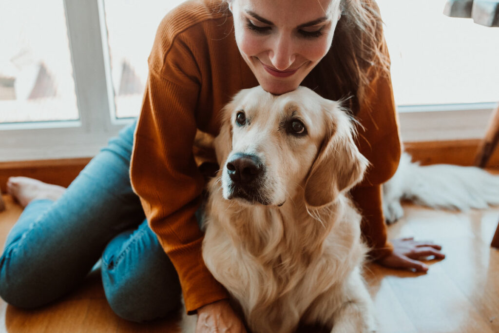 pretty young woman caring and petting her adorable golden retriver dog. Accompanied at home during the quarantine caused by the covid19. Lifestyle