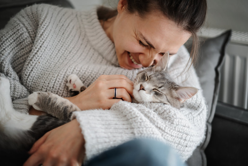 Beautiful cheerful young woman with a cute gray cat in her arms at home on the sofa, friendship love for pets