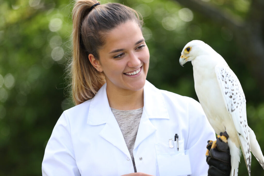 Happy veterinary holding a falcon outdoors in nature