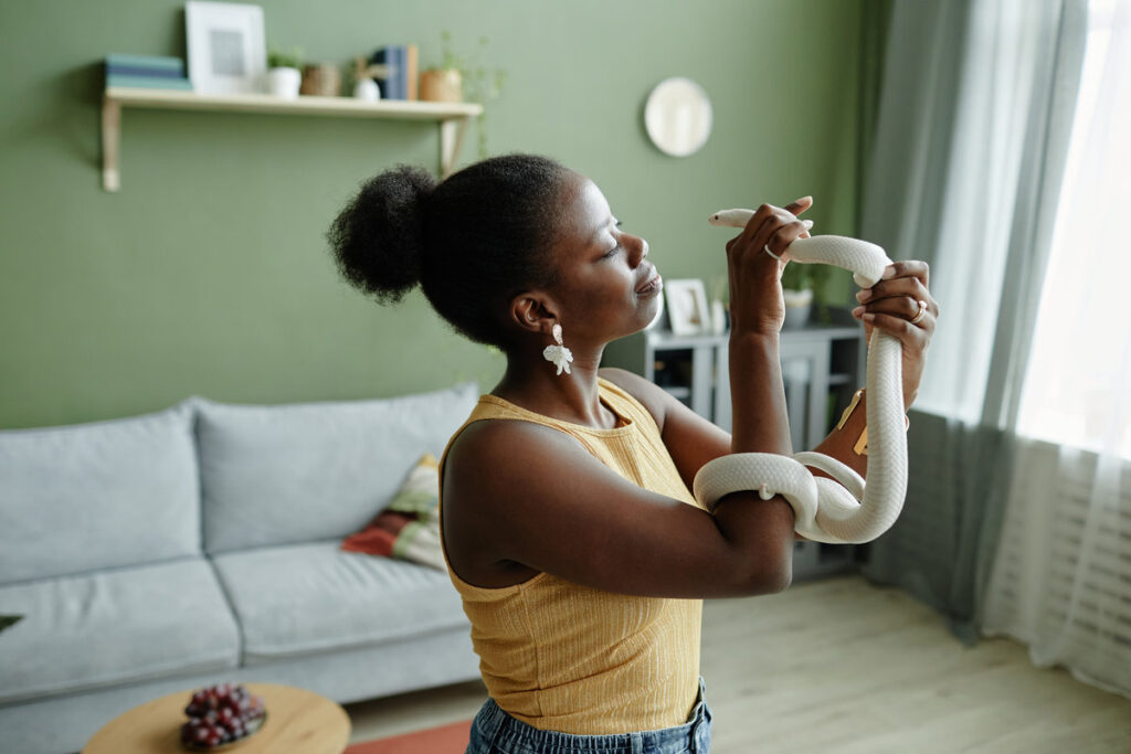 White rat snake enlacing arm of young African American female owner holding pet while enjoying animal assisted therapy in living room