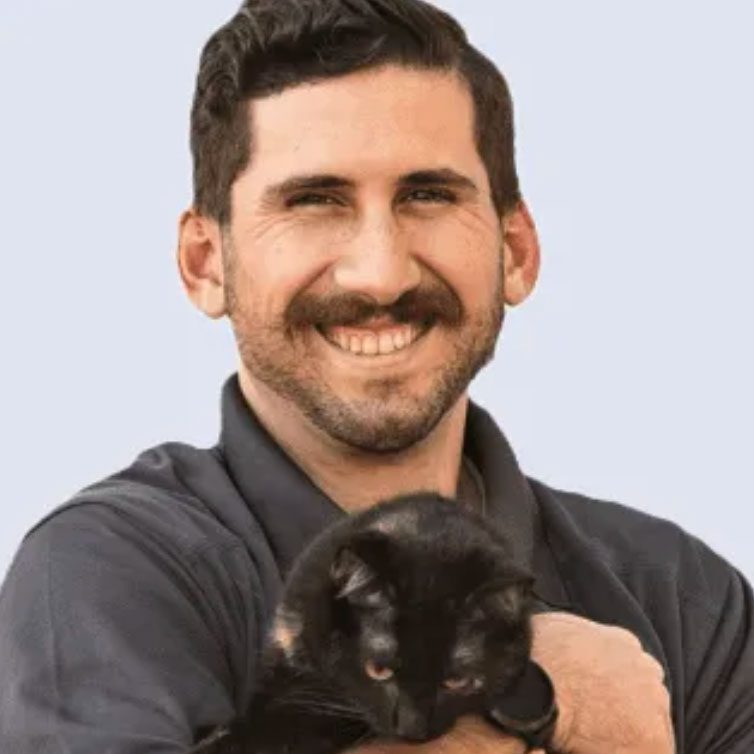 smiling male veterinarian holding a black cat