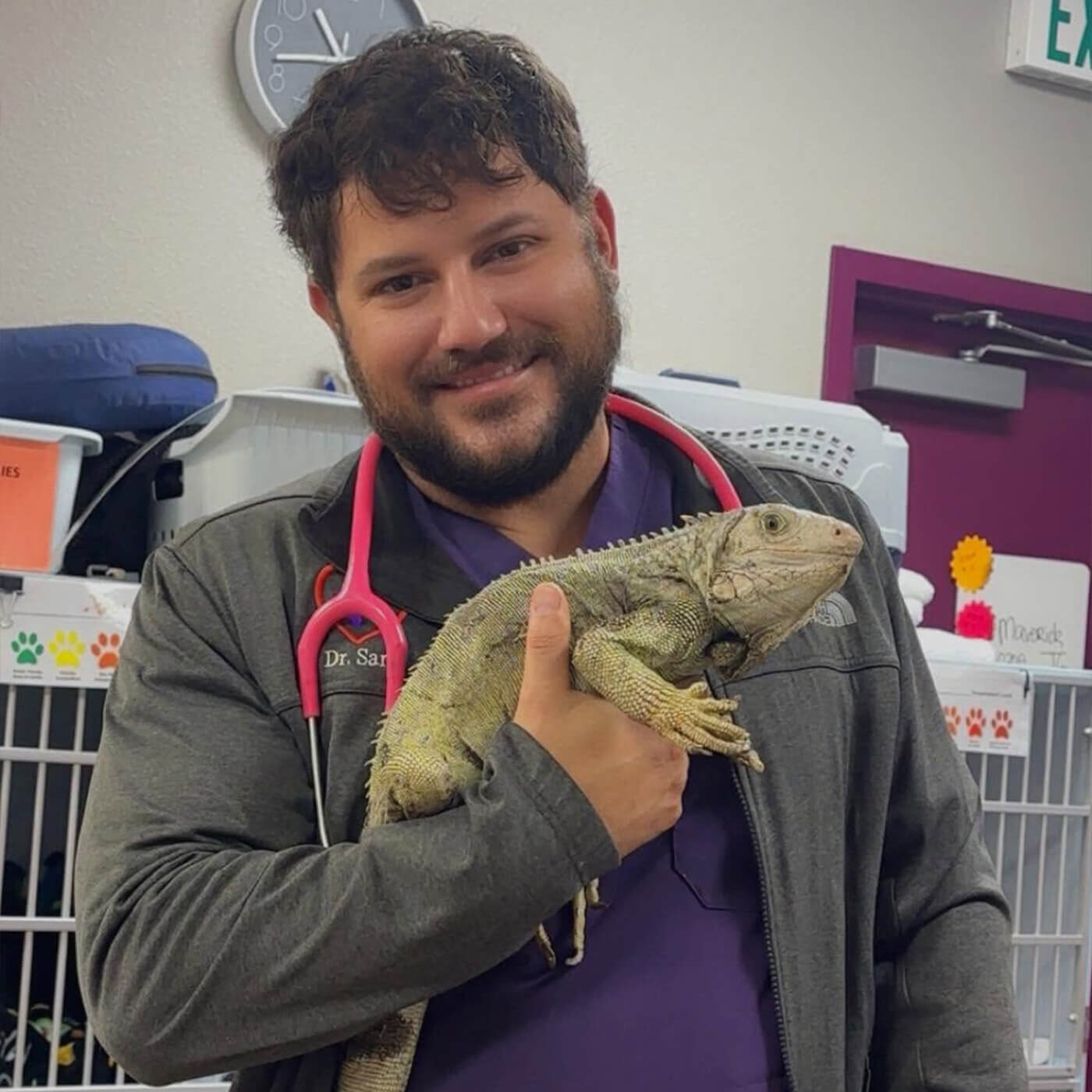 male veterinarian holding an iguana