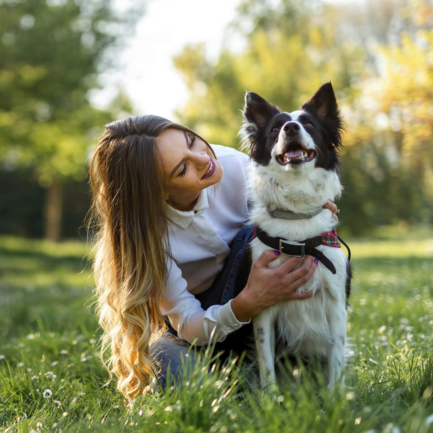 woman kneeling outside in grass with black and white collie dog